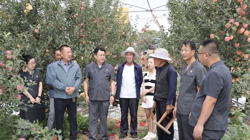 “没想到法官到地里就把事说开了”甘肃省庆城县法院把岐黄“治未病”智慧嵌入基层治理